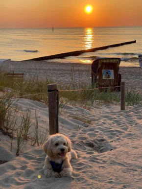 Residenz Lausitz - Apartments für Urlaub mit Hund Graal-Muritz